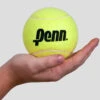 Penn 4" Large Tennis Ball -Holabird Sports Store 020056 1
