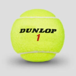 Dunlop ATP Championship Regular Duty 24 Cans -Holabird Sports Store 020495 3