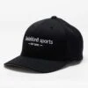 Holabird Sports Flexfit Perforated Performance Snap Back Cap -Holabird Sports Store 670524 blk 1